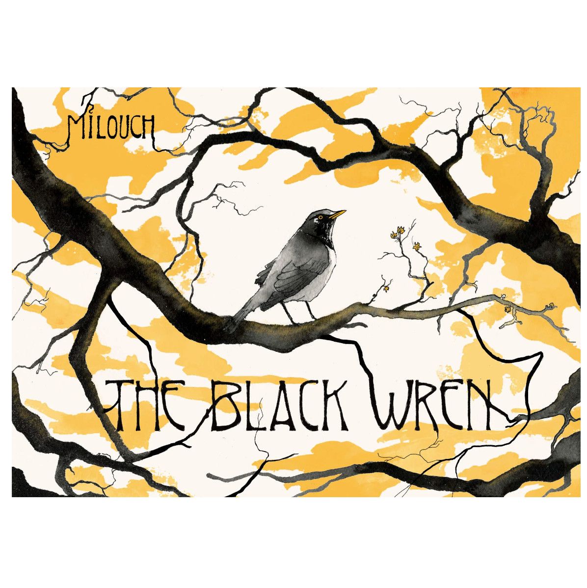 The Black Wren GM and Diceless RPG