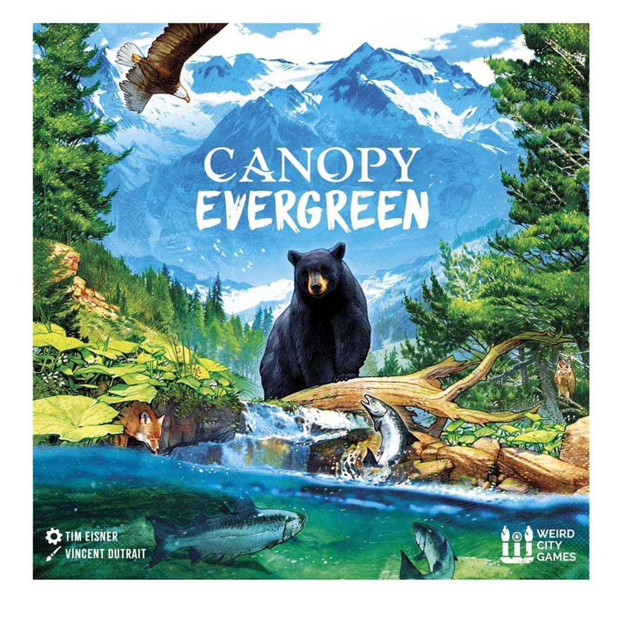 Canopy Evergreen