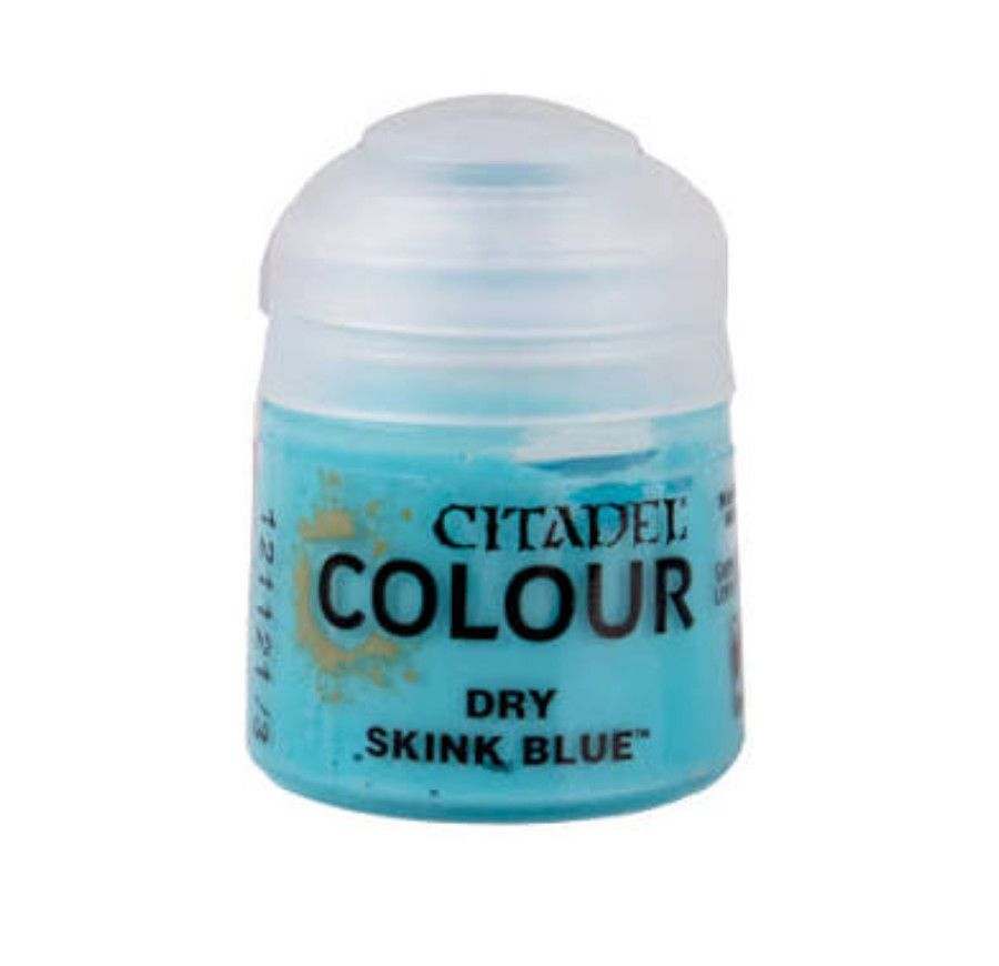 23-06 Skink Blue Dry