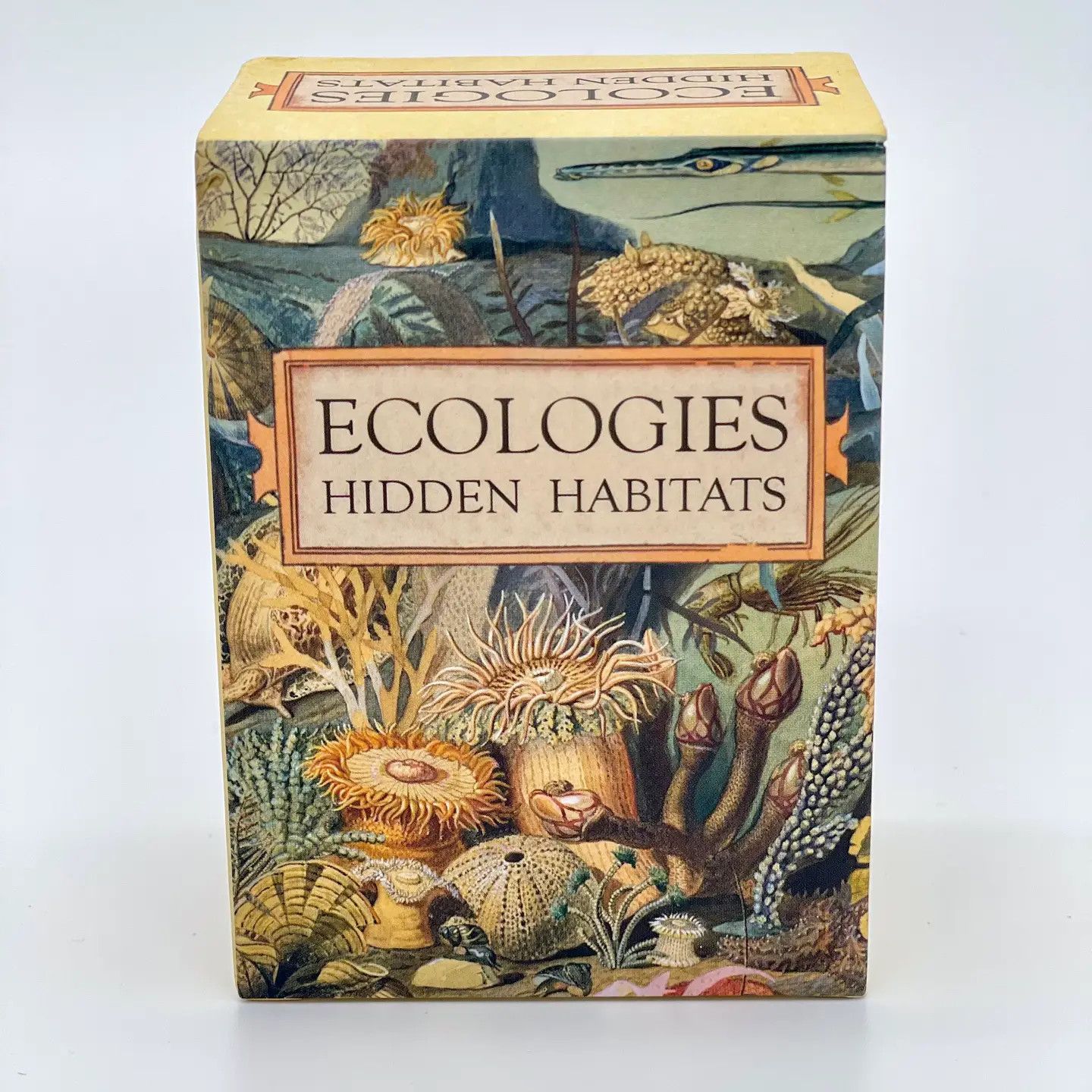 Ecologies - Hidden Habitats