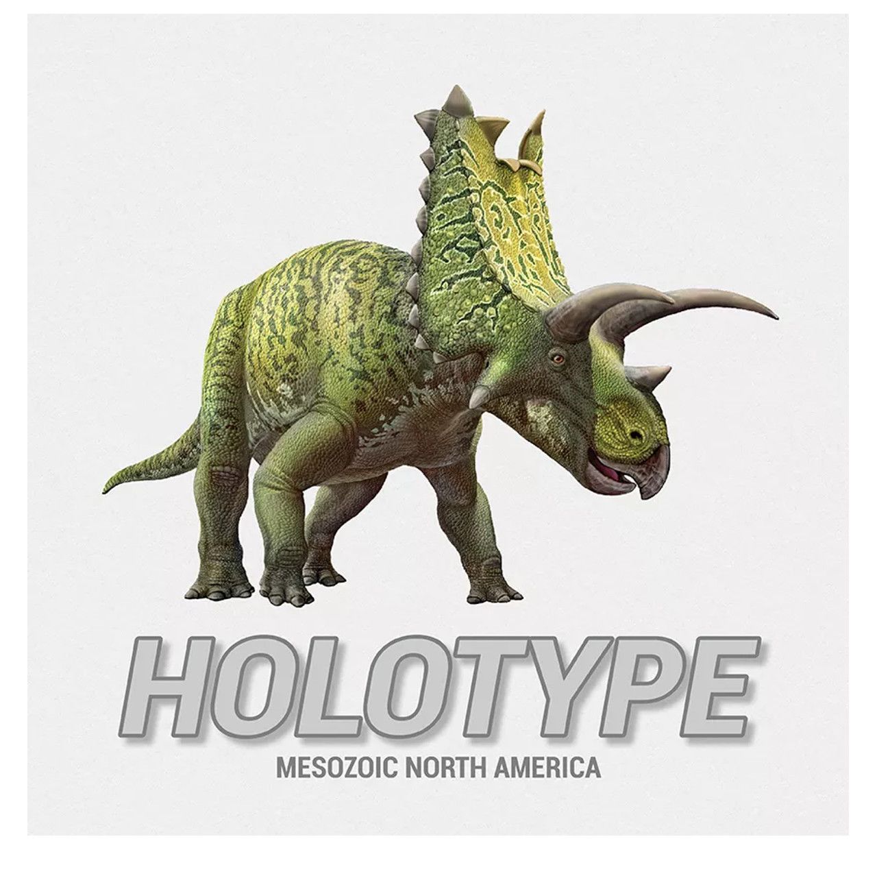 Holotype - Mezozoic North America