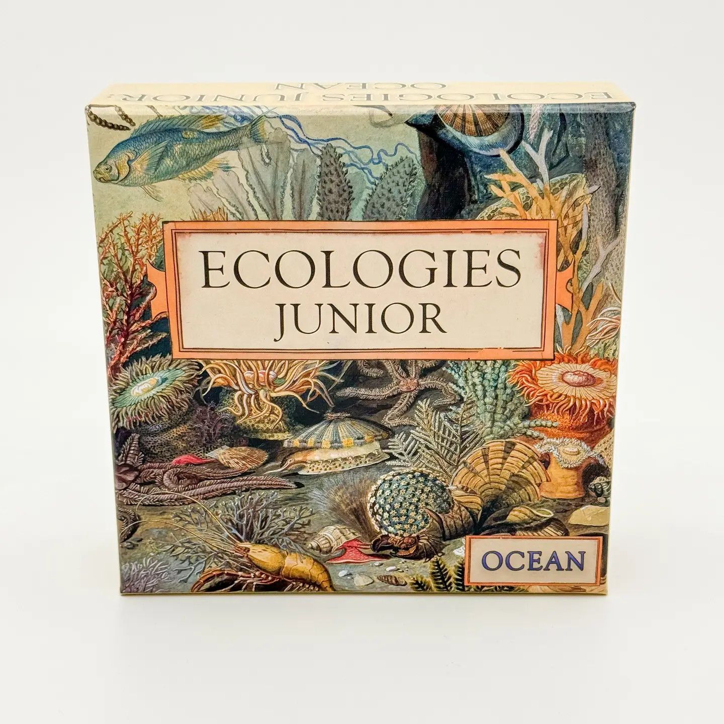 Ecologies Junior - Ocean