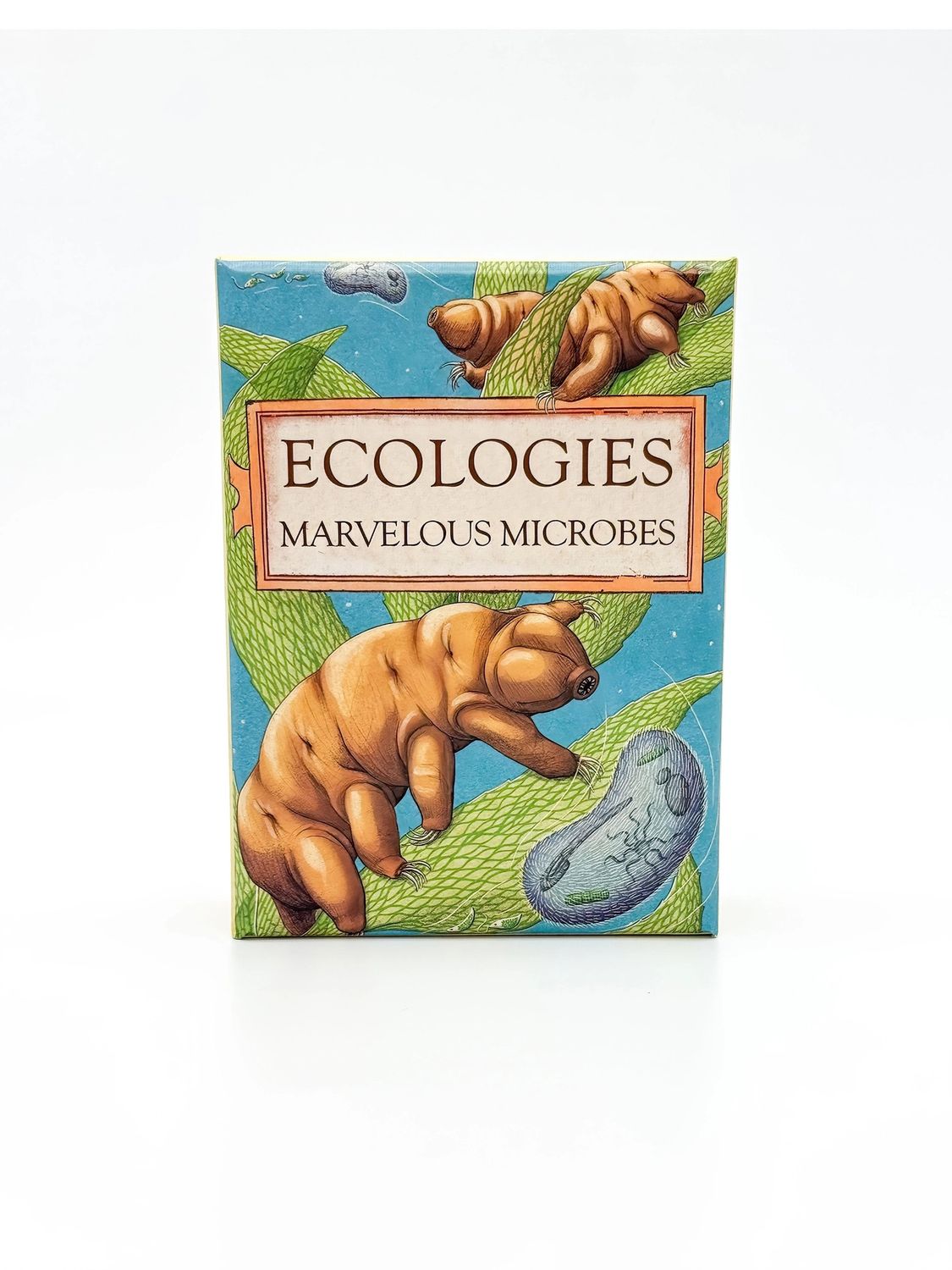 Ecologies - Marvelous Microbes