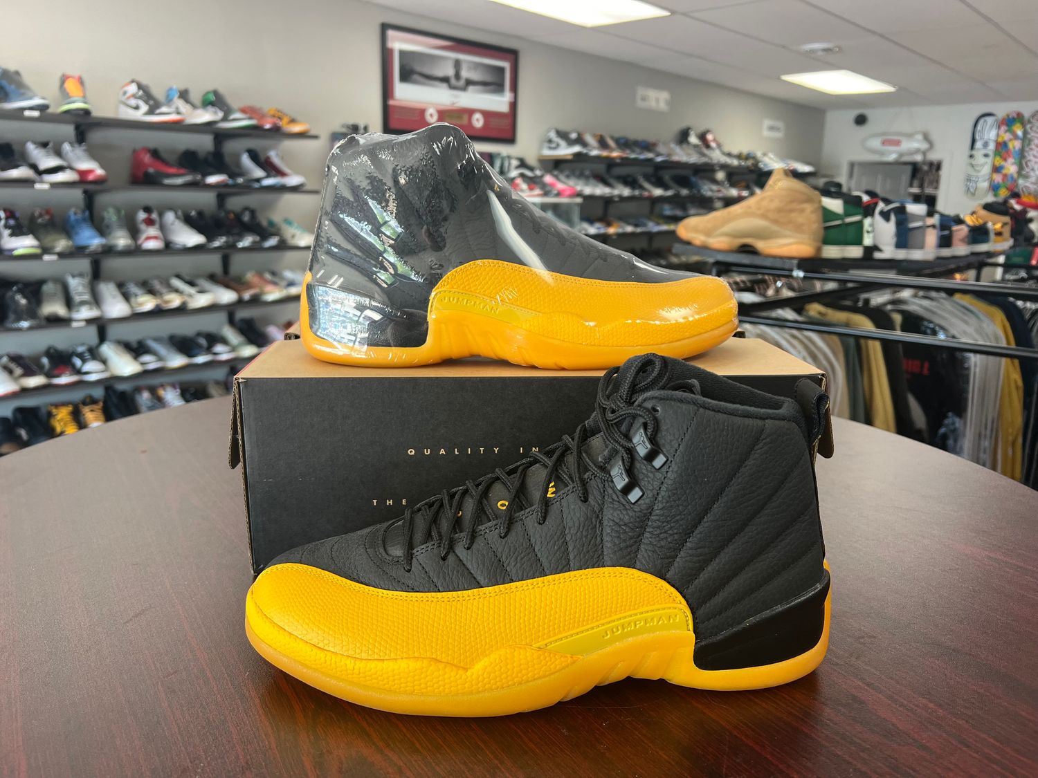NEW AIR JORDAN 12 UNIVERSITY GOLD