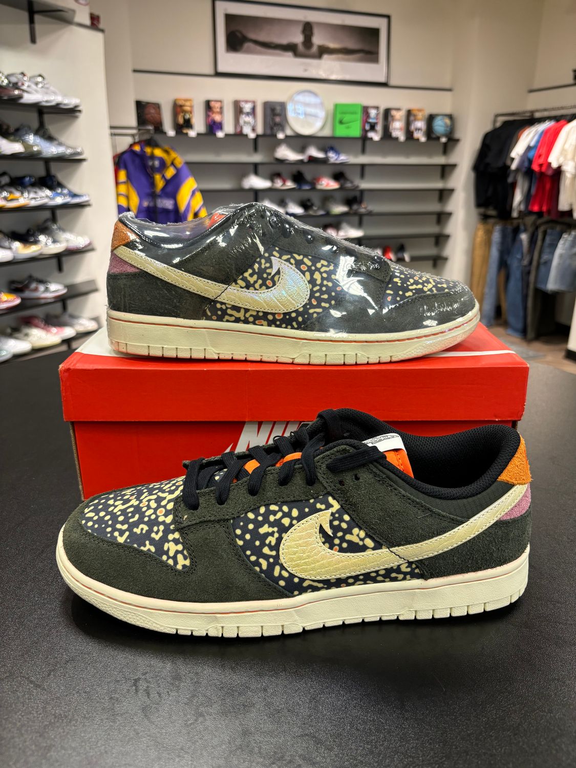 NEW NIKE DUNK LOW GONE FISHING RNBW TROUT