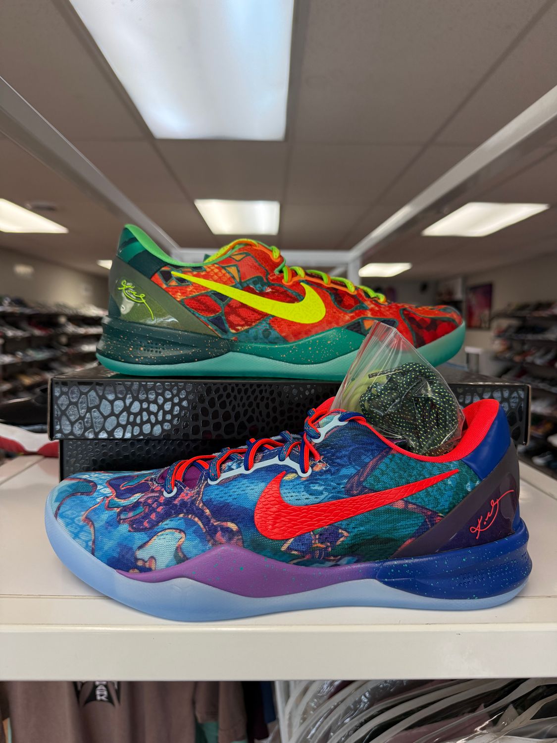 NEW NIKE KOBE 8 PROTRO WHAT THE (2025)