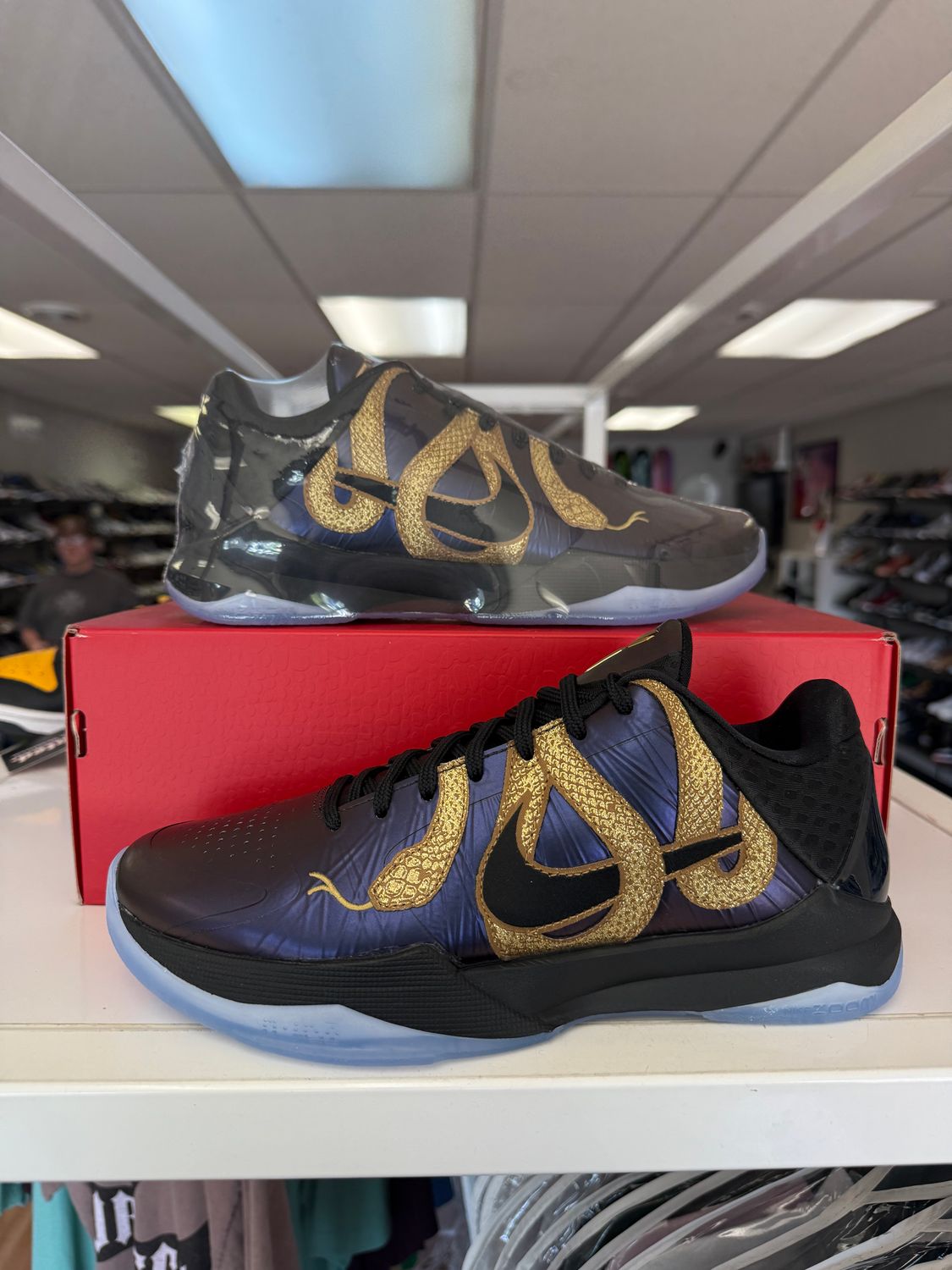  NEW NIKE KOBE 5 PROTRO YEAR OF THE MAMBA EGGPLANT