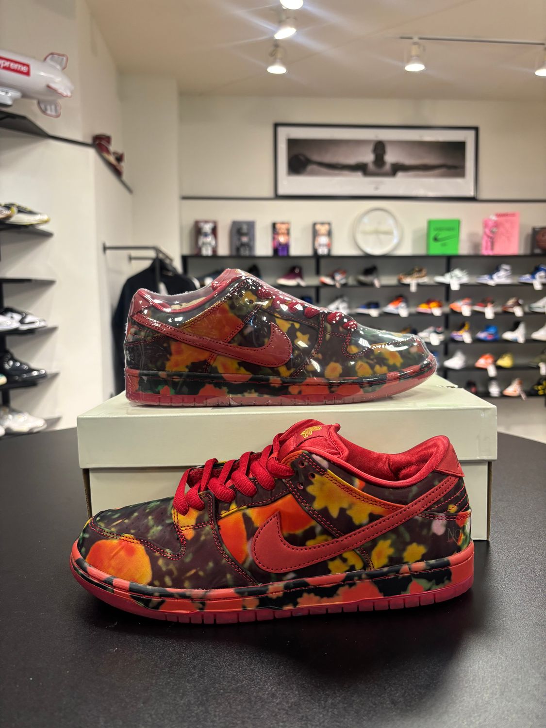 NEW NIKE SB DUNK LOW THE WIZARD OF OZ POPPY FIELD