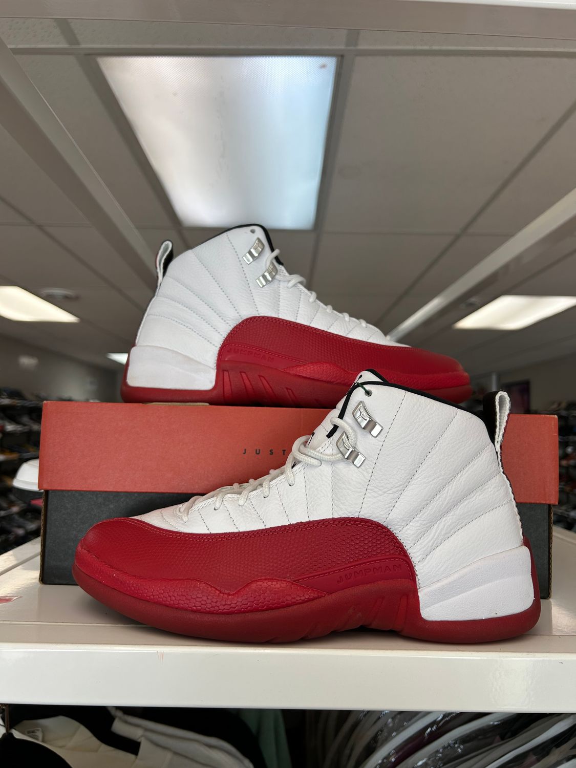 PO AIR JORDAN 12 CHERRY (2023) SIZE 8.5