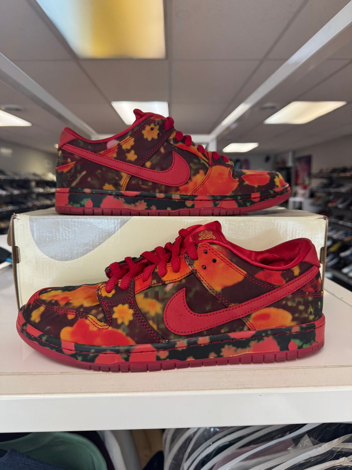 PO NIKE SB DUNK LOW THE WIZARD OF OZ POPPY FIELD SIZE 10.5