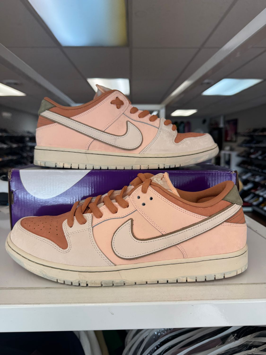 PO NIKE SB DUNK LOW TROCADERO GARDENS SIZE 13