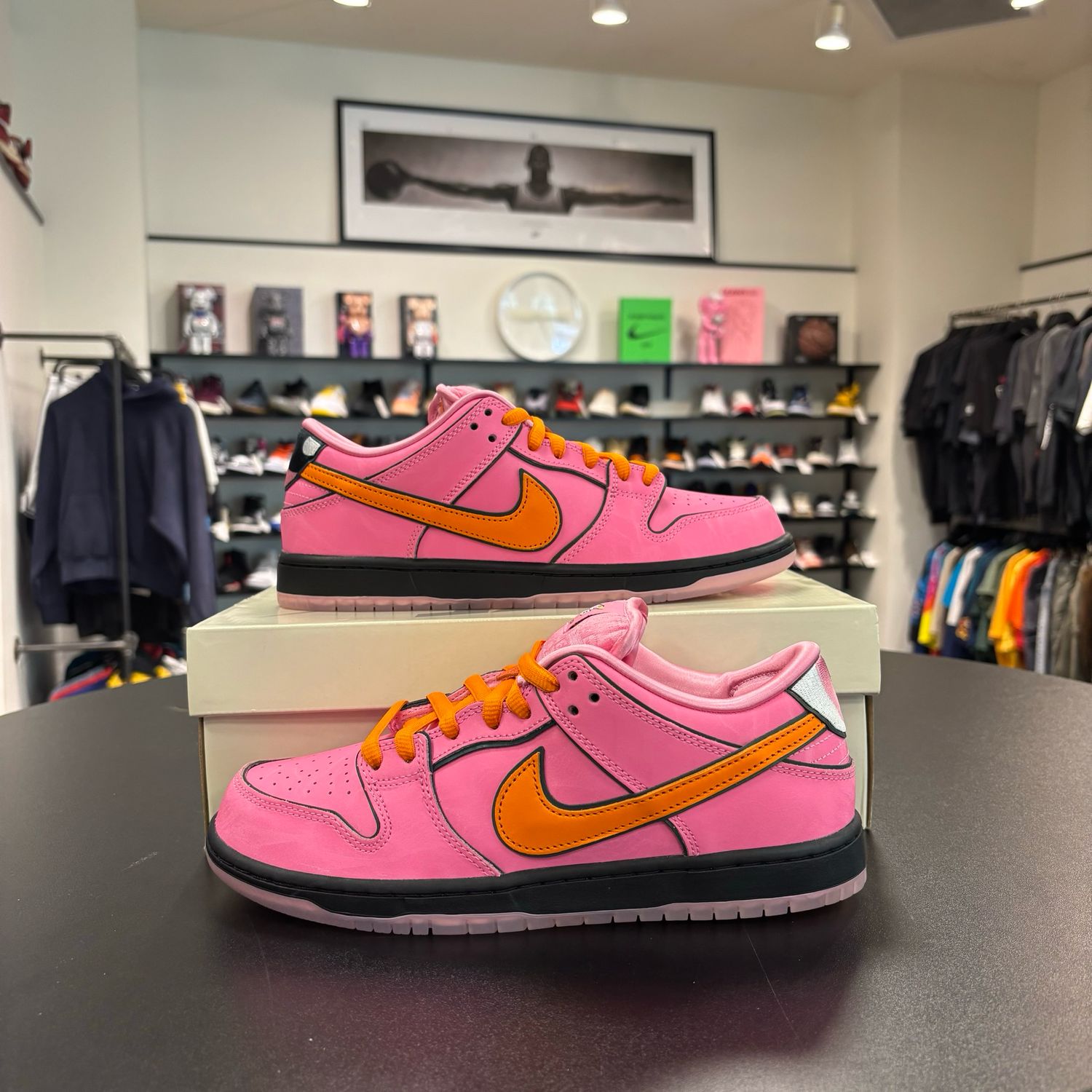 NEW NIKE SB DUNK LOW POWERPUFF GIRLS BLOSSOM