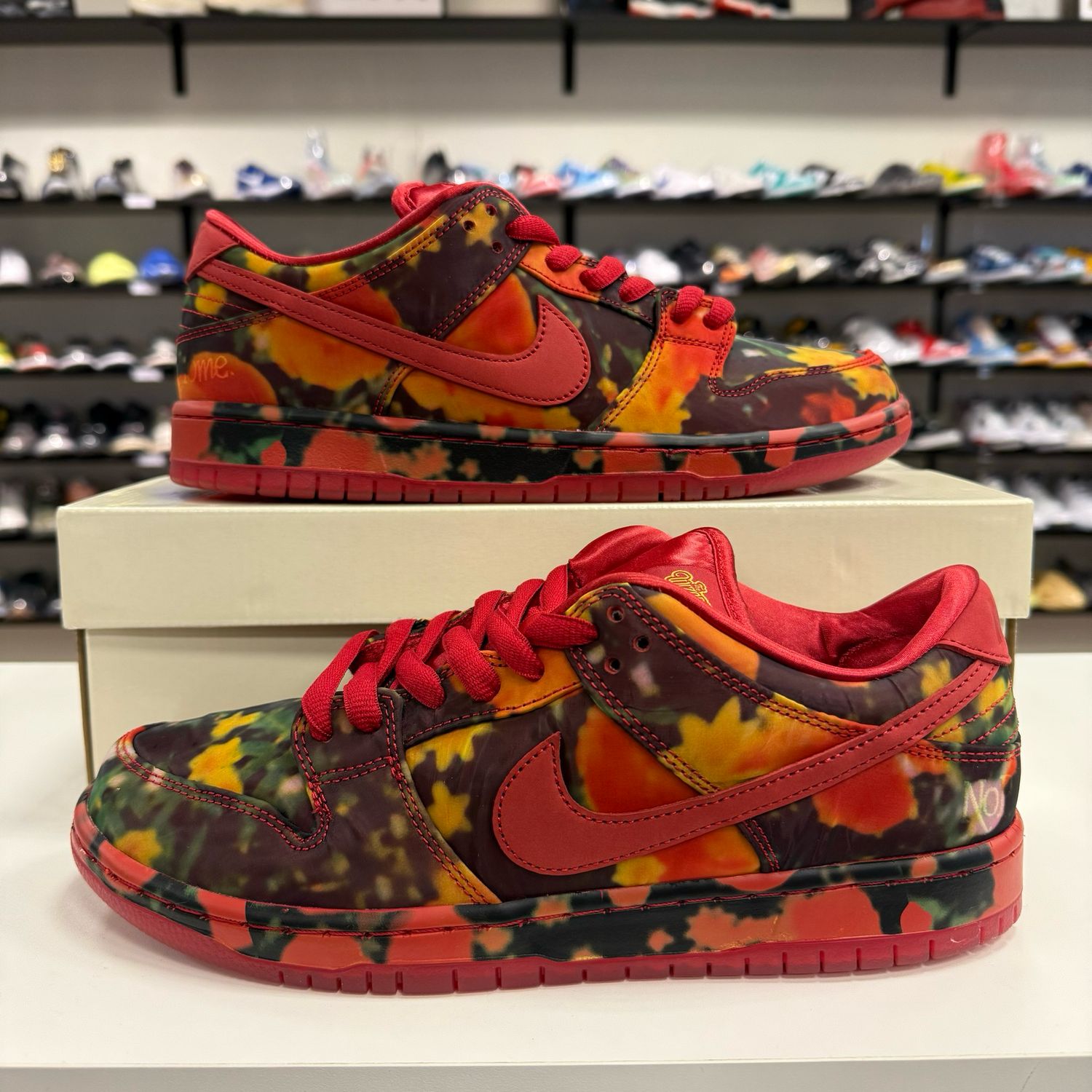 NEW NIKE SB DUNK LOW THE WIZARD OF OZ POPPY FIELD