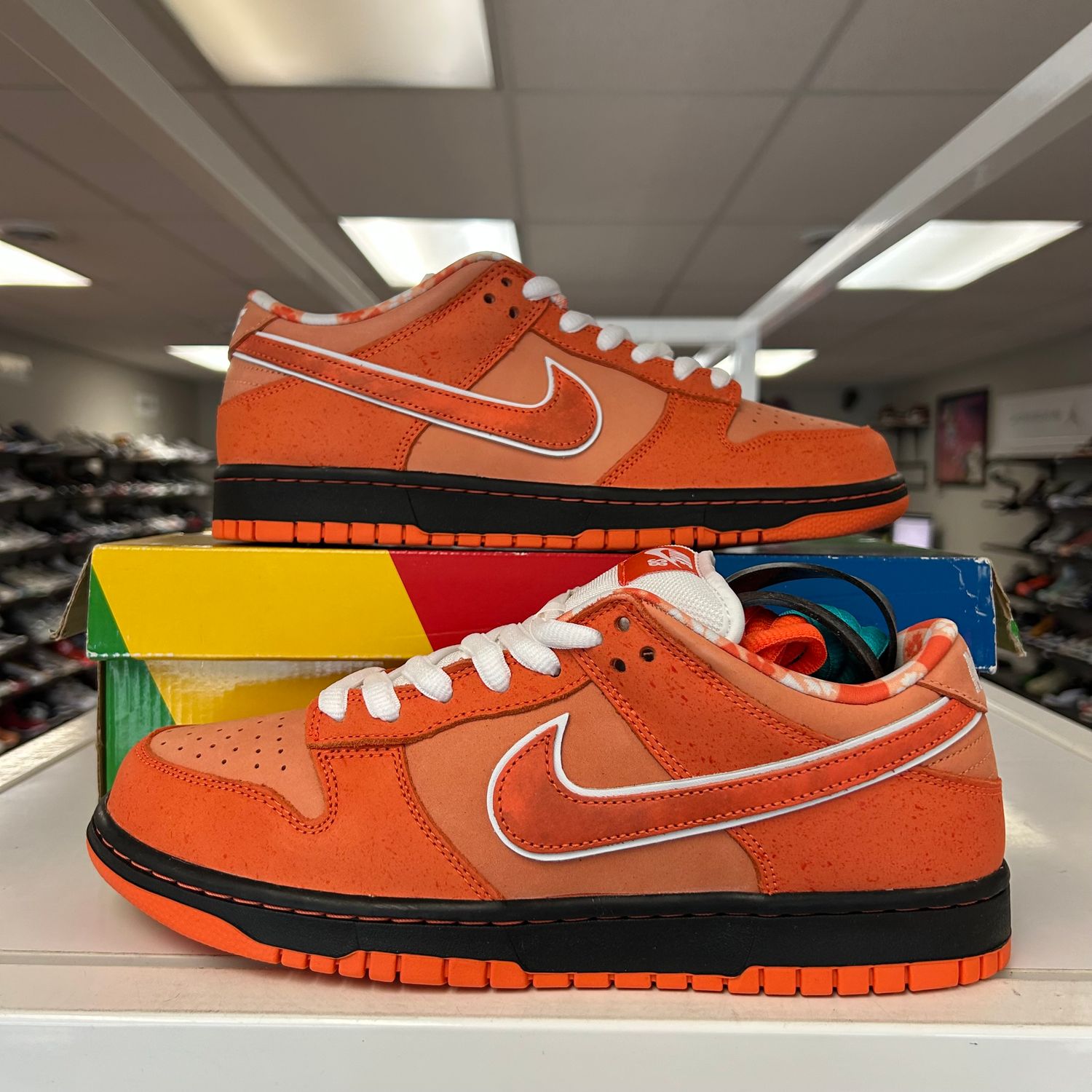 NEW NIKE SB DUNK LOW CONCEPTS ORANGE LOBSTER