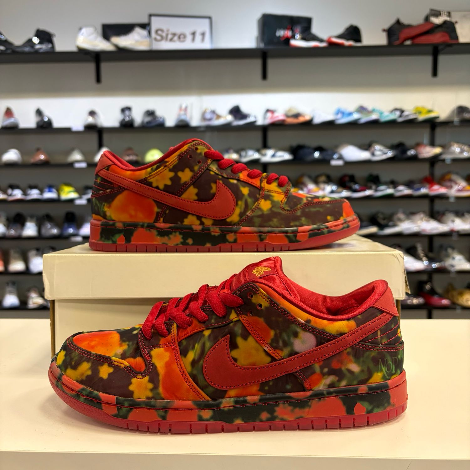 NEW NIKE SB DUNK LOW THE WIZARD OF OZ POPPY FIELD