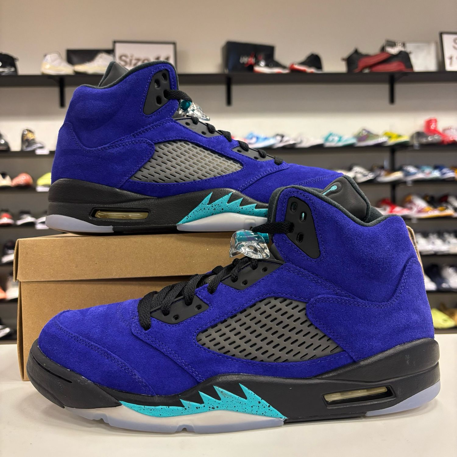 PO NB AIR JORDAN 5 ALTERNATE GRAPE SIZE 12