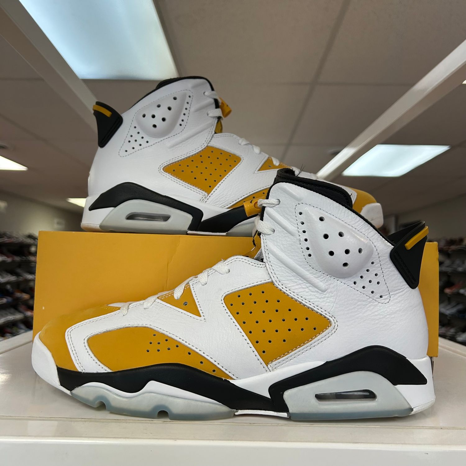 PO AIR JORDAN 6 YELLOW OCHRE SIZE 12