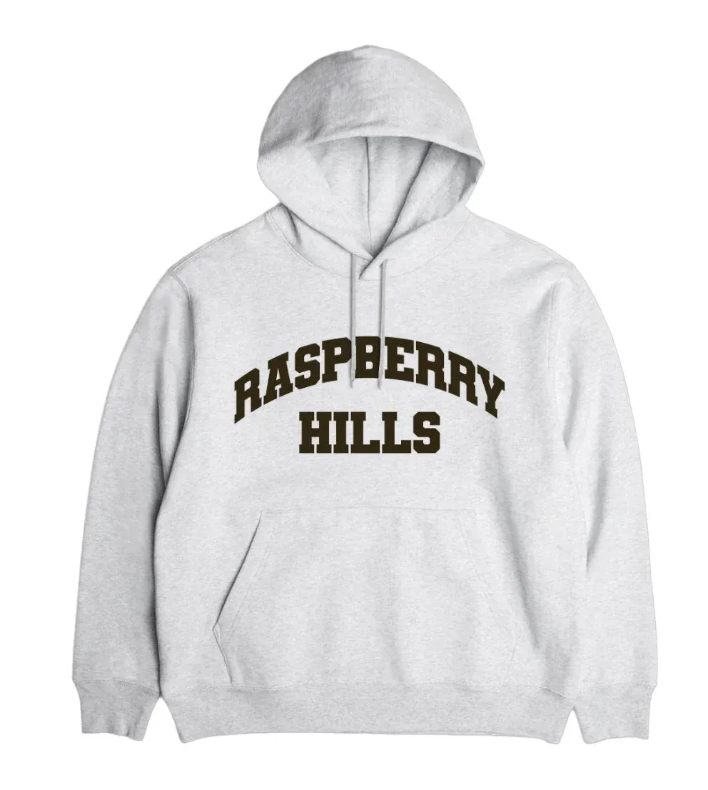 NEW GV GALLERY RASPBERRY HILLS OG ARC LOGO HOODIE LIGHT HEATHER GREY SIZE XXL