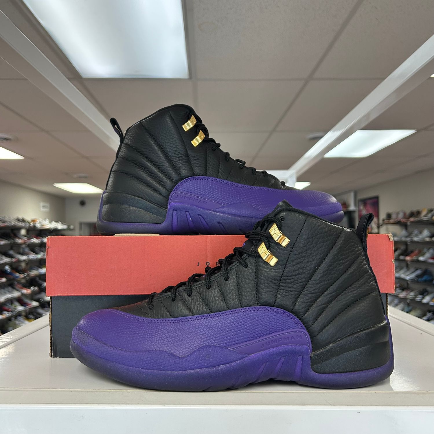 PO4 AIR JORDAN 12 FIELD PURPLE EB SIZE 10.5