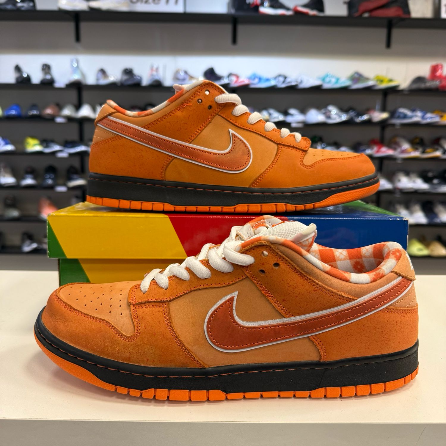 PO NIKE SB DUNK LOW CONCEPTS ORANGE LOBSTER SIZE 12 (NO ORANGE LACES)