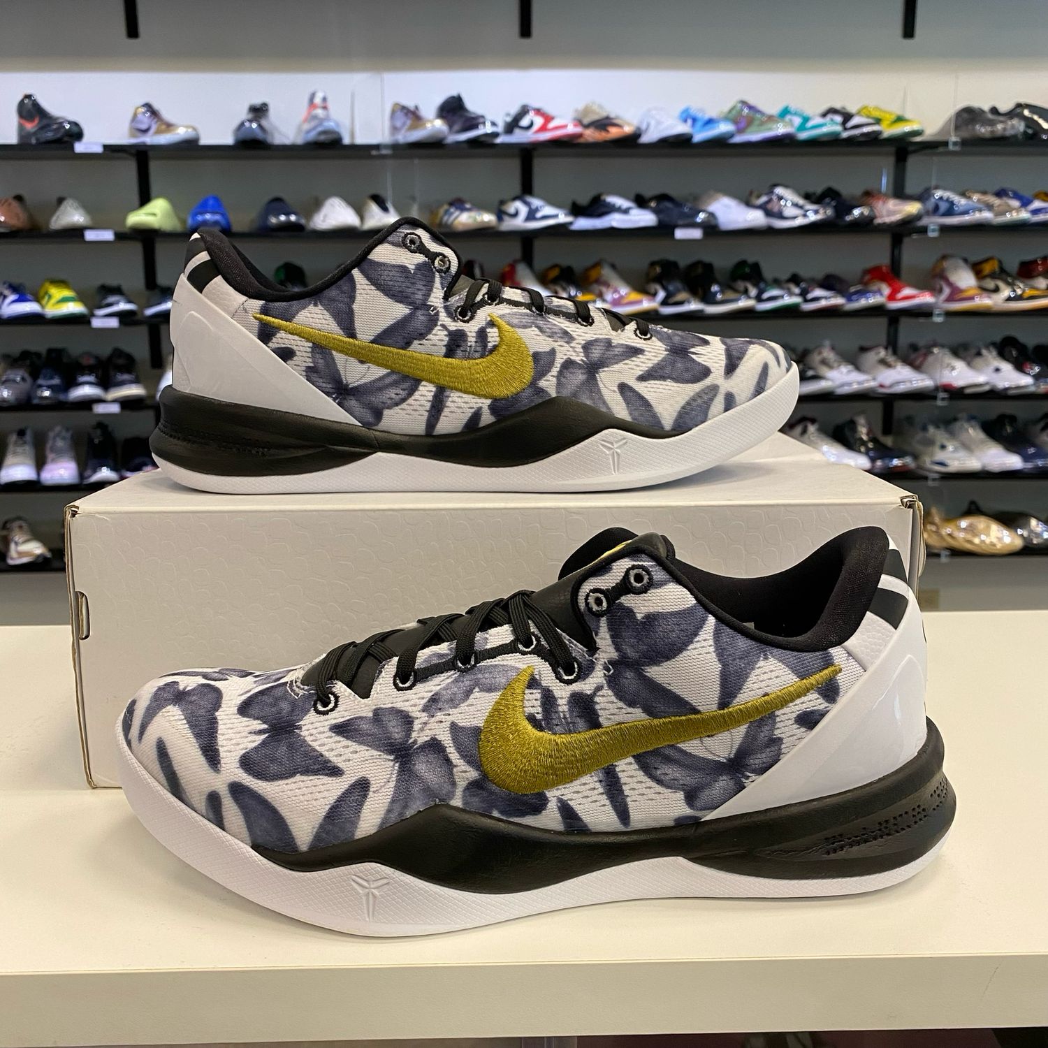 PO2 KOBE 8 PROTRO MAMBACITA SIZE 10