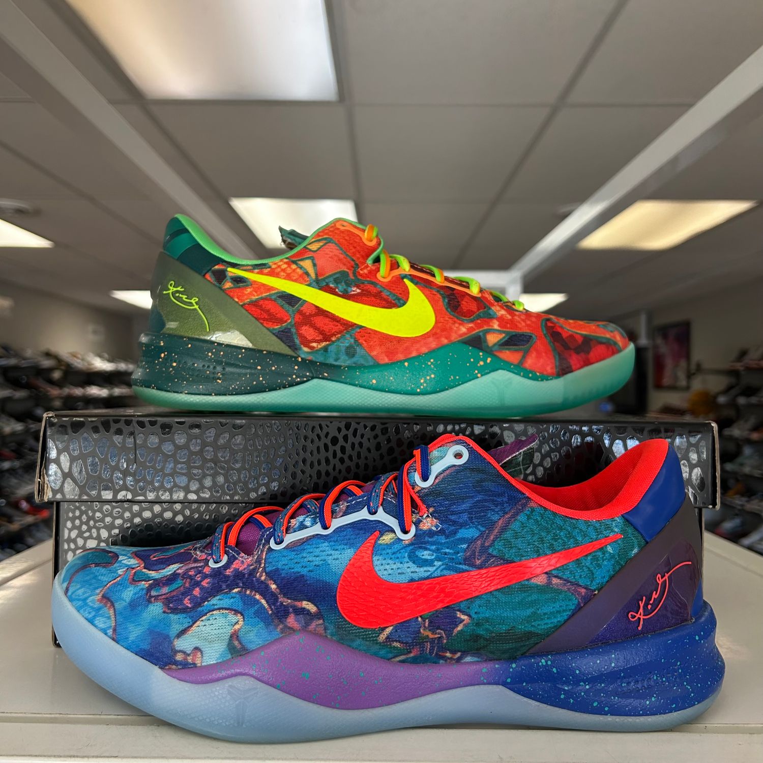 PO NIKE KOBE 8 PROTRO WHAT THE (2025) SIZE 10