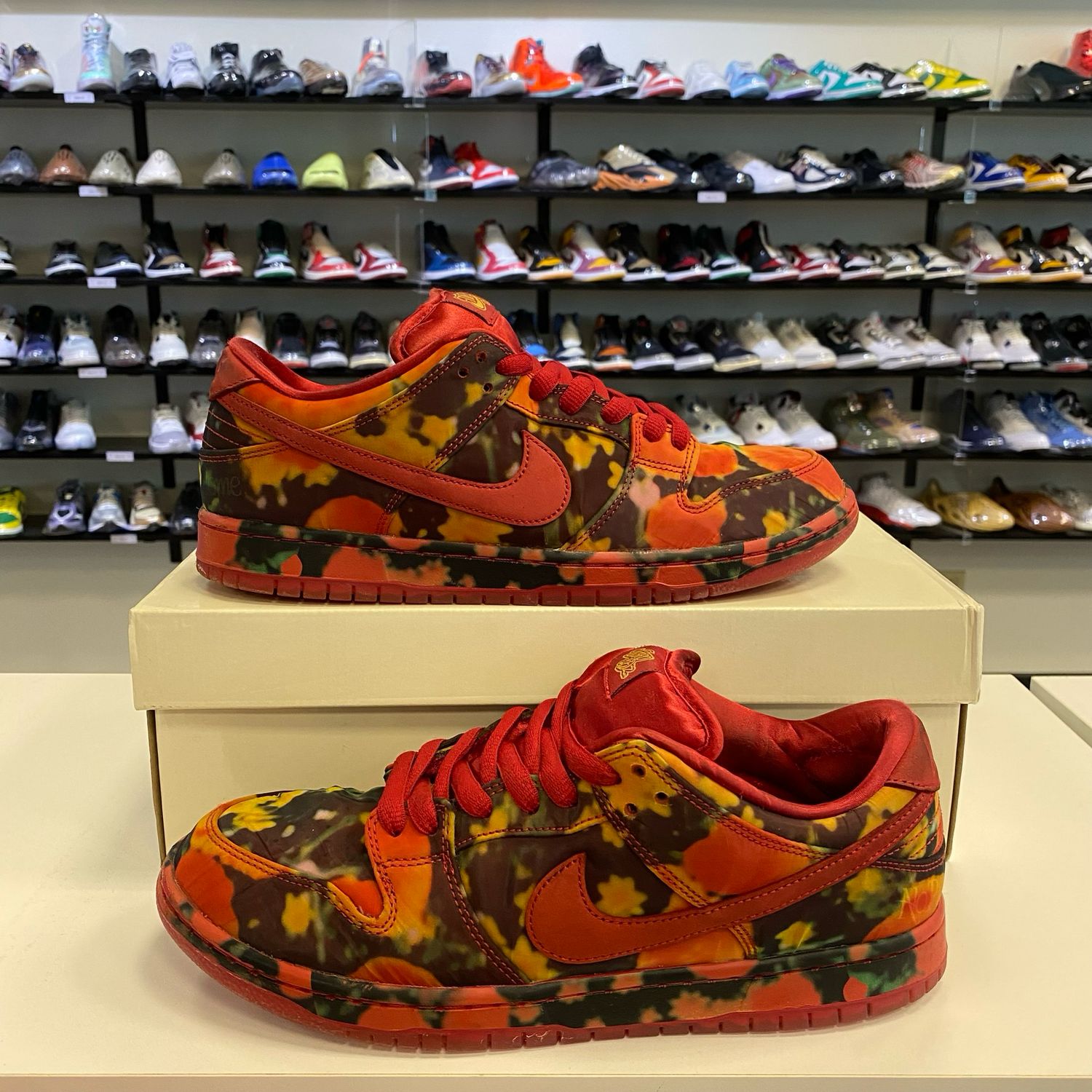 PO2 NIKE SB DUNK LOW THE WIZARD OF OZ POPPY FIELD SIZE 10.5