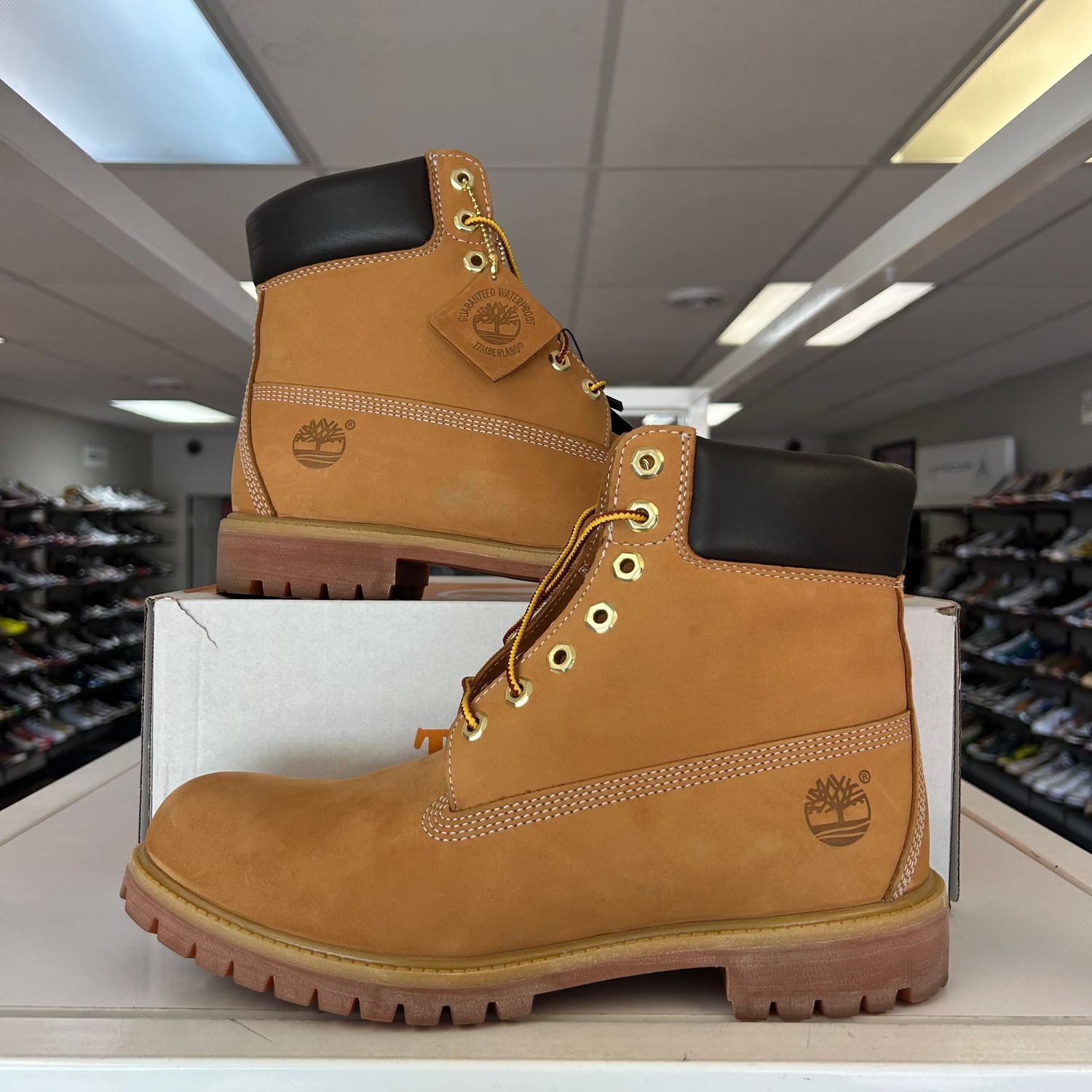 PO TIMBERLAND BUTTERS SIZE 10.5