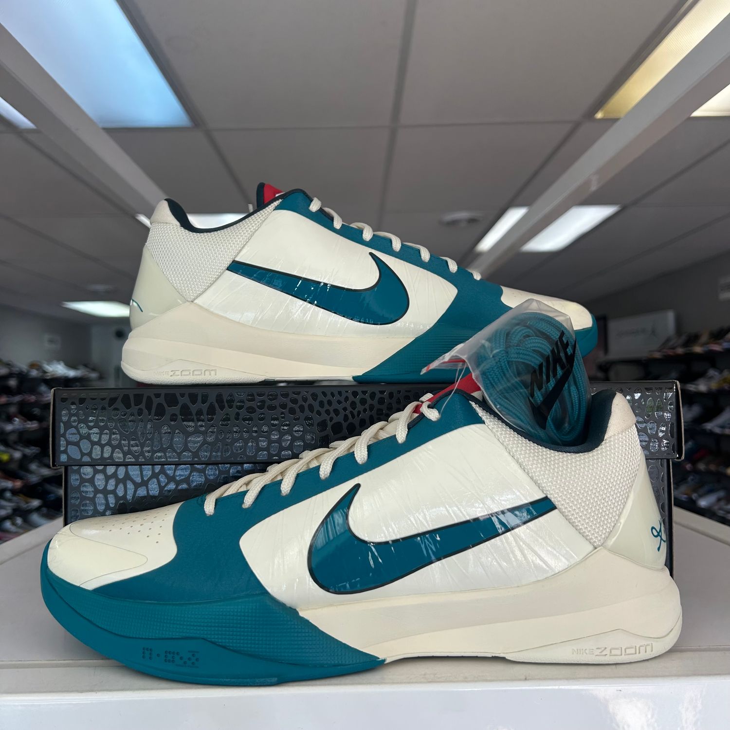 NEW NIKE KOBE 5 CAITLIN CLARK COCONUT MILK SPRUCE