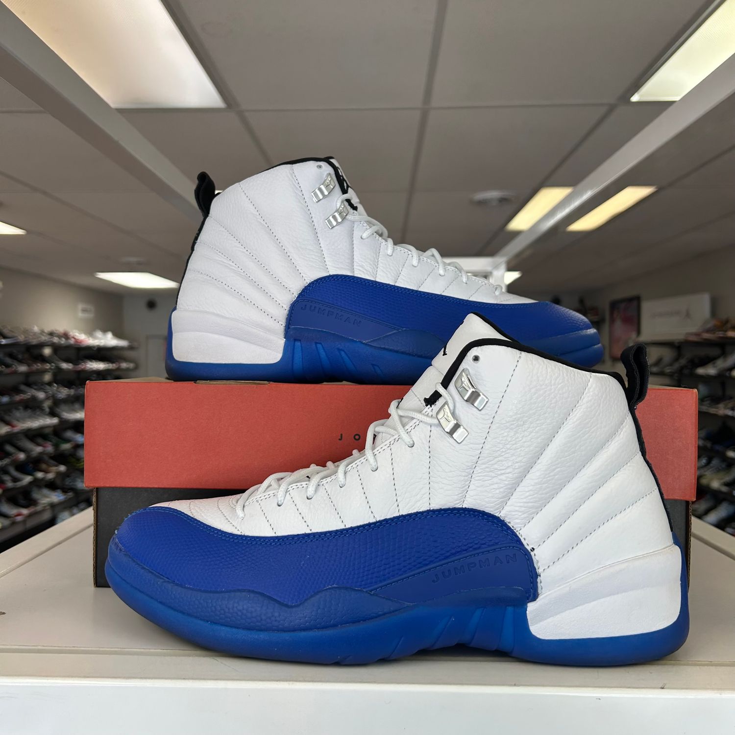 PO AIR JORDAN 12 BLUEBERRY (Sx) SIZE 13