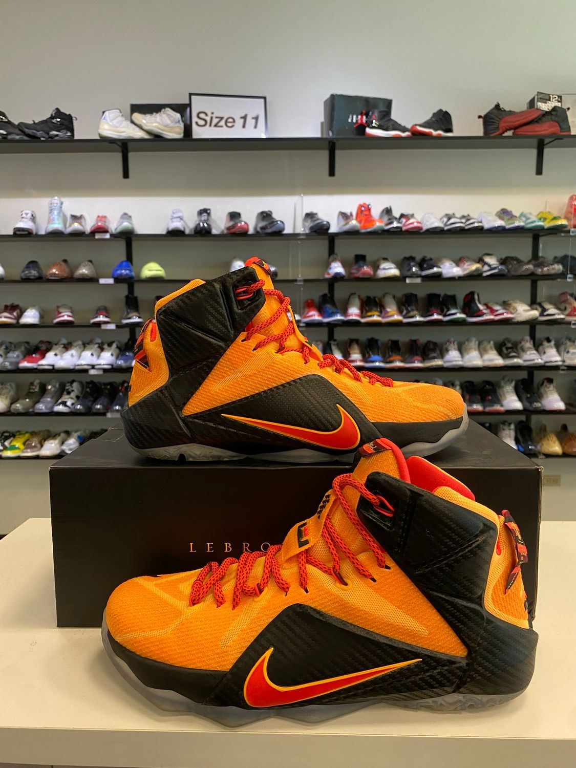PO NIKE LEBRON 12 WITNESS SIZE 10