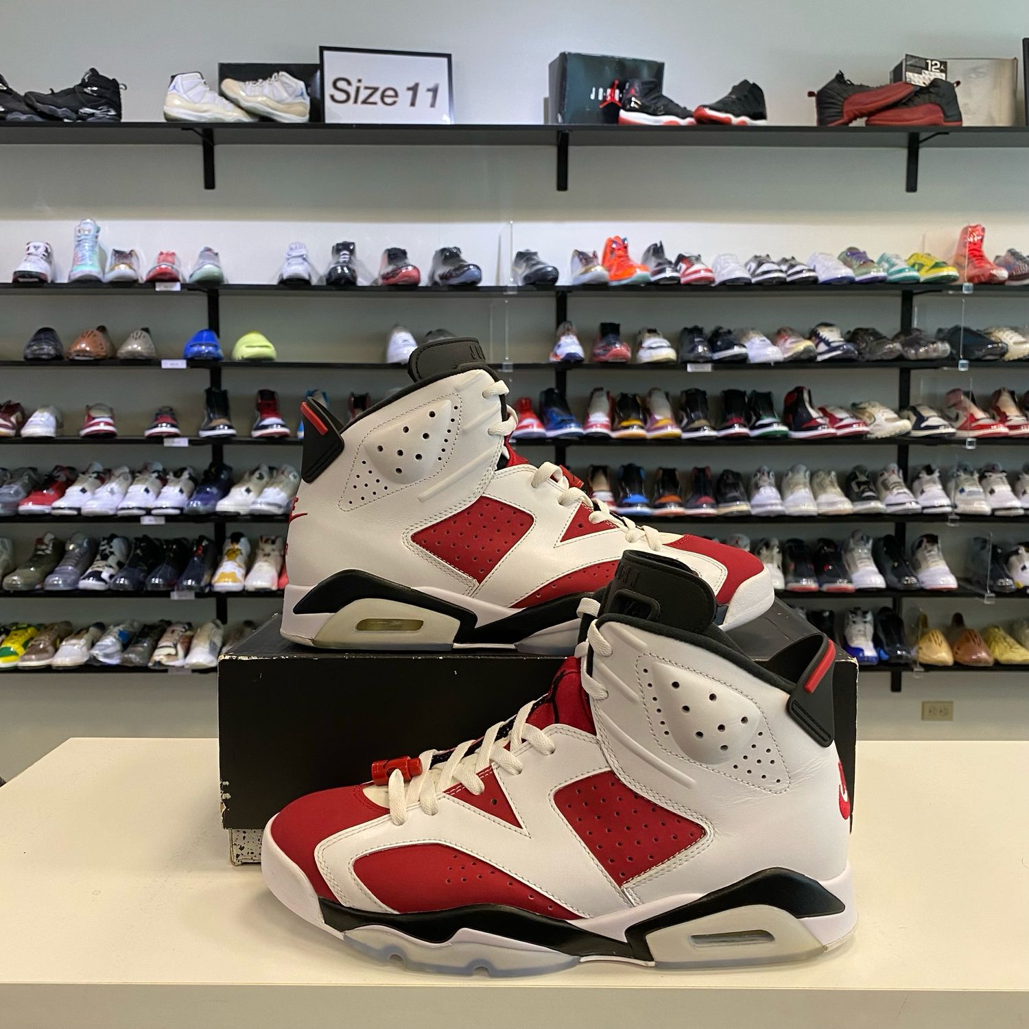 PO4 AIR JORDAN 6 CARMINE (2021) SIZE 10.5