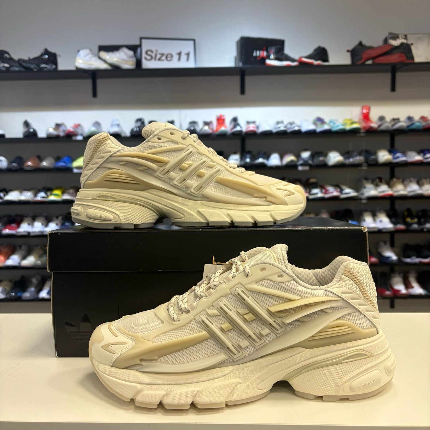 NEW ADIDAS ADISTAR JELLYFISH PHARRELL WILLIAMS WHITE SIZE 11.5