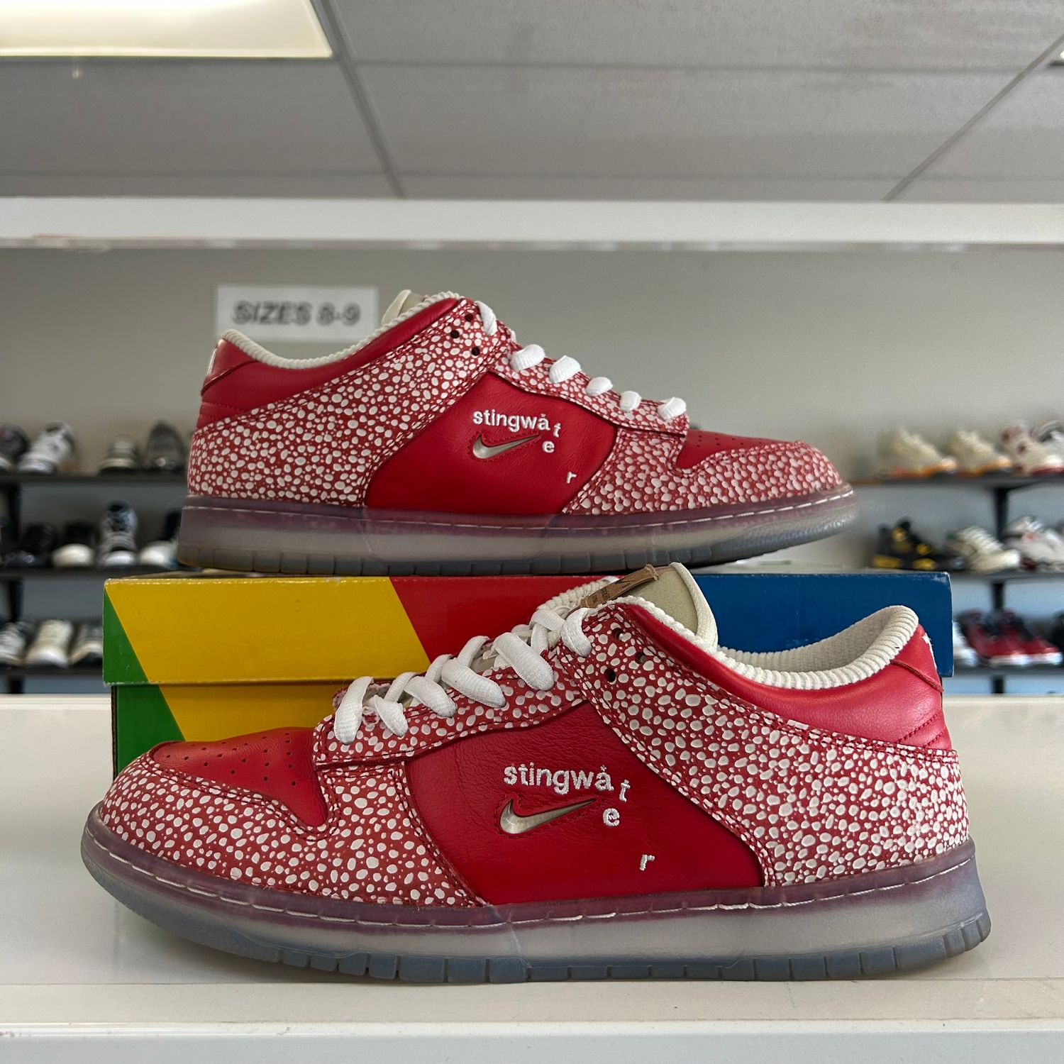 PO NIKE SB DUNK LOW STINGWATER MAGIC MUSHROOM (SX) SIZE 11