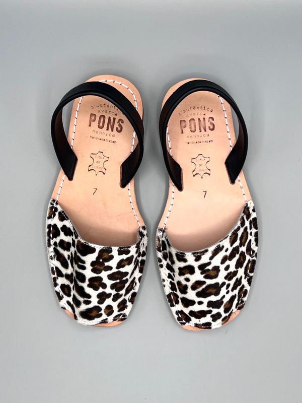 Pons Animal