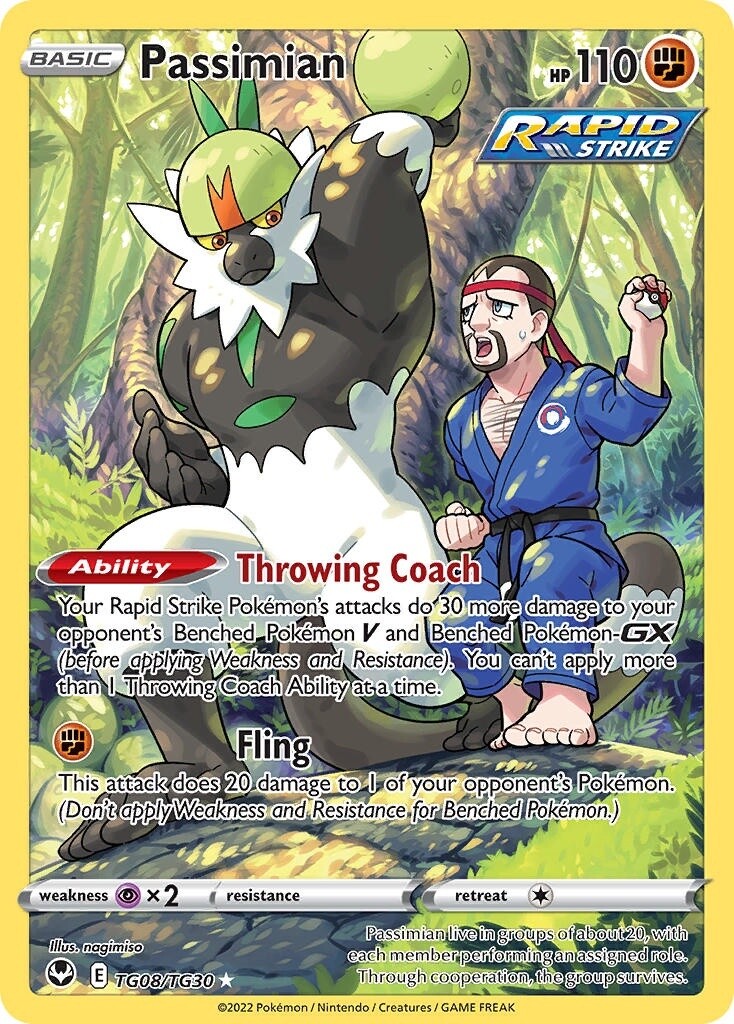 Passimian - Holo Rare - Silver Tempest - TG08