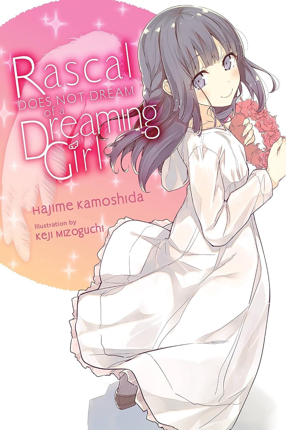 RASCAL DOES NOT DREAM OF A DREAMING GIRL (LIGHT NOVEL) VOL. 6