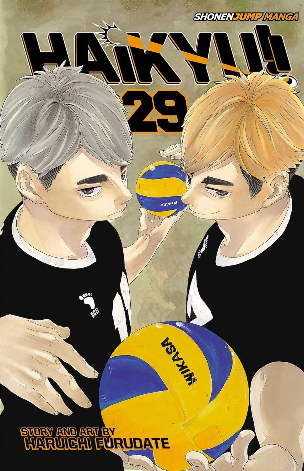 HAIKYU!!, VOL. 29