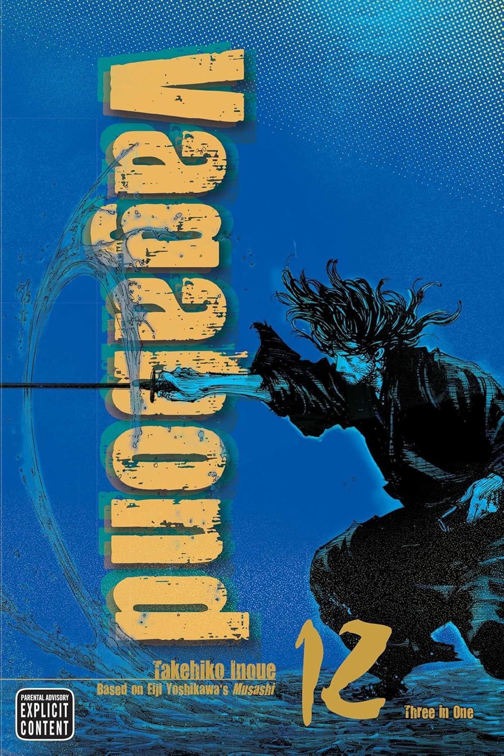 VAGABOND 12
