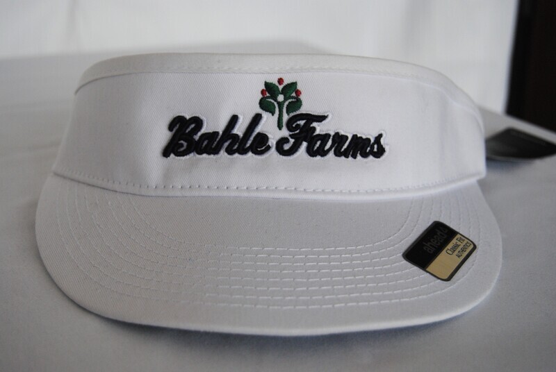 Men&#39;s Visor