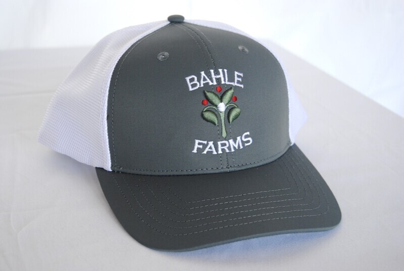 Large Bounce Stitch Ball Cap