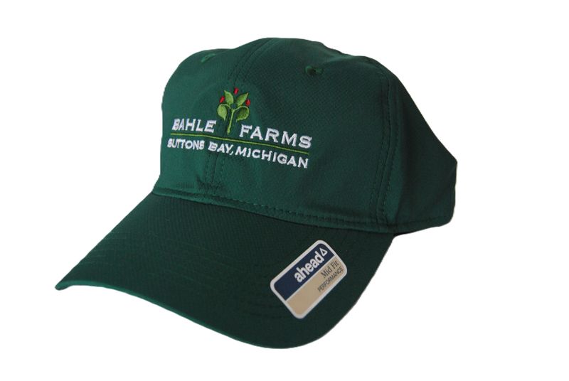 Logo Performance Hat