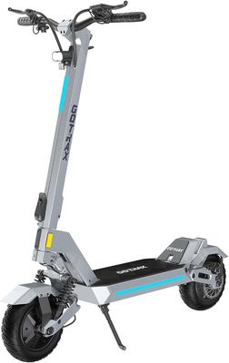 GOTRAX GX2 GRIS