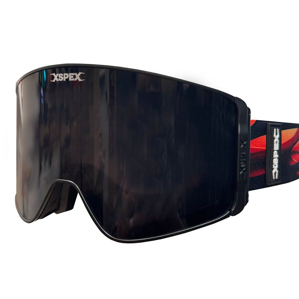 Fury 2 Goggles