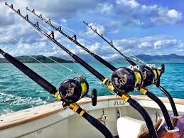 Salt Water Fishing Rods