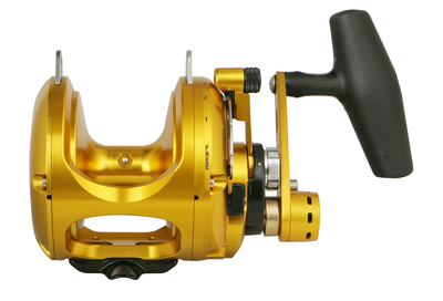 Salt Water Reels