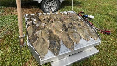 Floundering