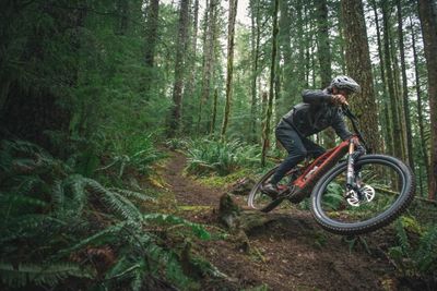 Ebikes
