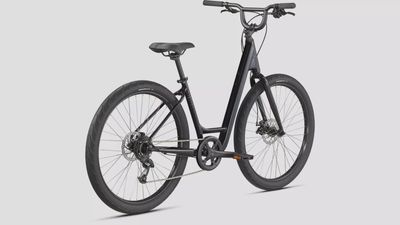 SPECIALIZED ROLL 2.0 Low Entry