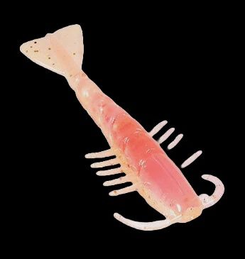 Z-Man Salty Ned 2.5&quot; Shrimp Laguna